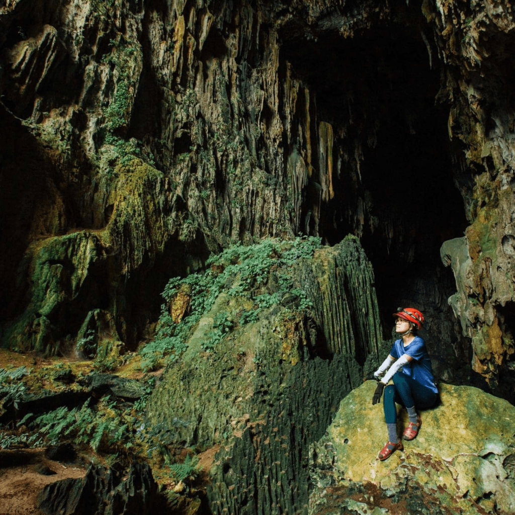 Phong Nha Day Tours