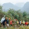 Abandoned Valley Trekking In Jungle