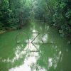 Ozo Park Camping 2 Days 1 Night