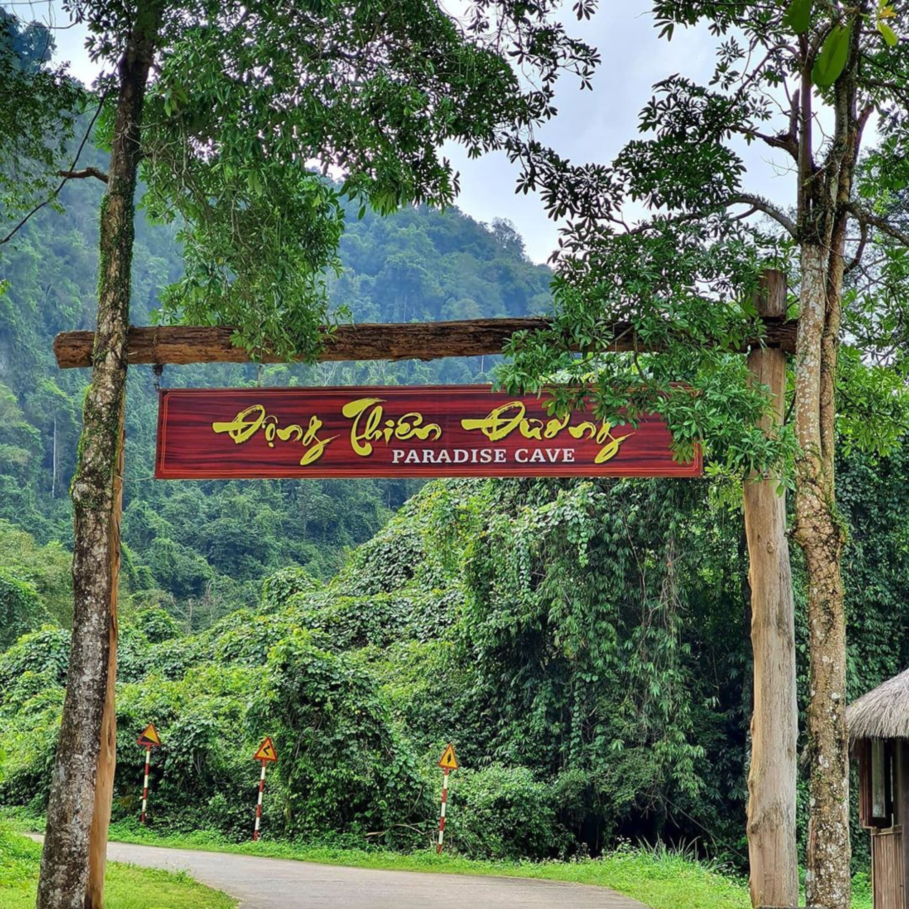 Phong Nha Day Tours