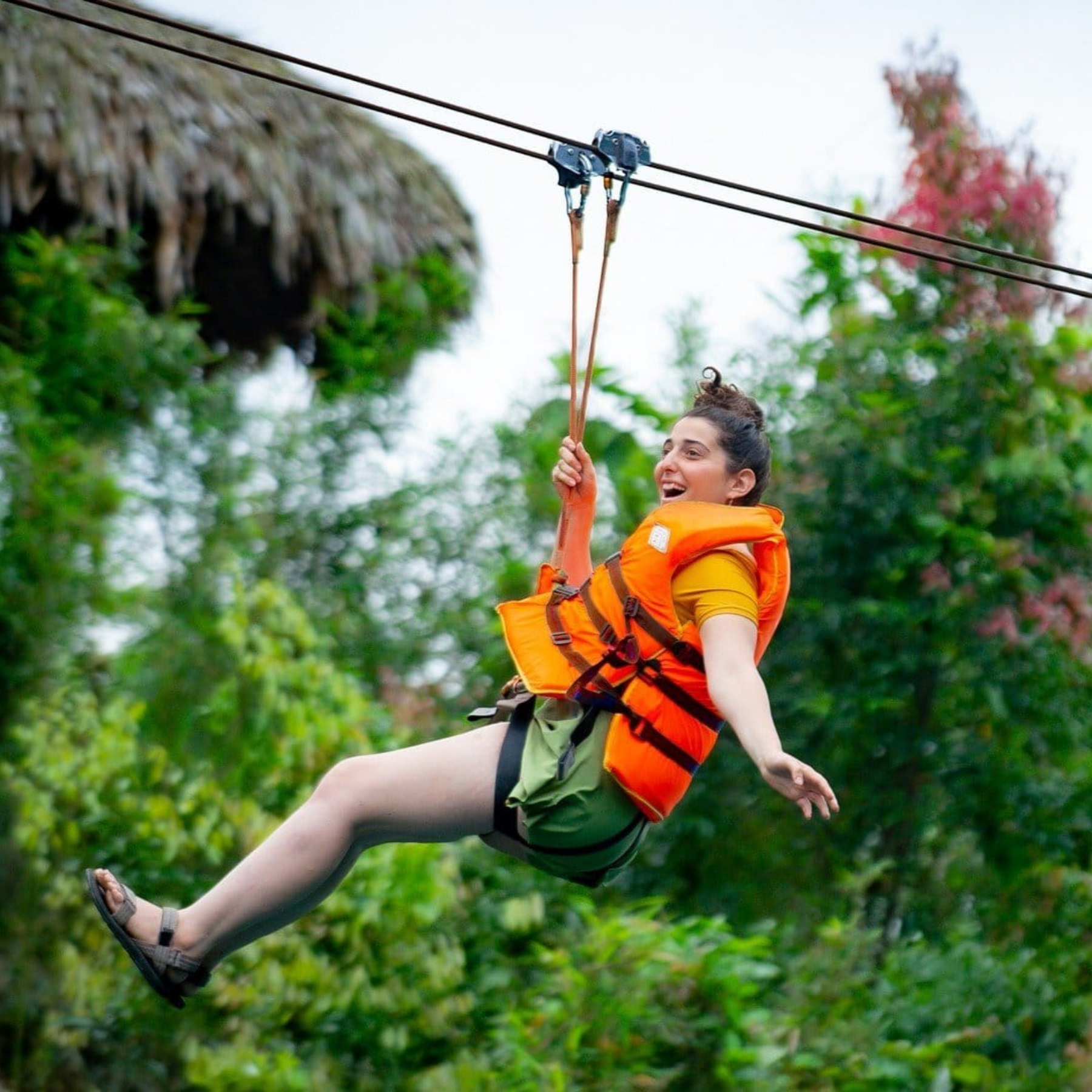 Phong Nha 2 Days 1 Night